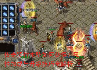传奇贤竹木坠如何获得?属性加成与升级技巧全解析 传奇贤竹木坠如何获得?属性加成与升级技巧全解析