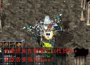 传奇玩家在哪里可以找到并击败各类强大Boss? 传奇玩家在哪里可以找到并击败各类强大Boss?