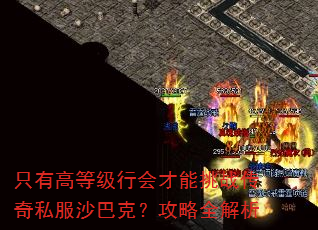 ֻ�иߵȼ��л������ս����˽��ɳ�Ϳˣ�����ȫ����