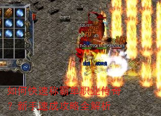 ��ο��ٳưԵ�ְҵ���棿�����ٳɹ���ȫ����