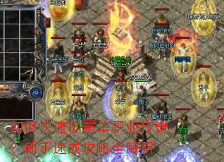 ��ο��ٳưԵ�ְҵ���棿�����ٳɹ���ȫ����