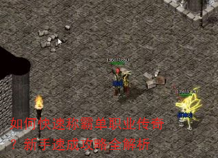 ��ο��ٳưԵ�ְҵ���棿�����ٳɹ���ȫ����