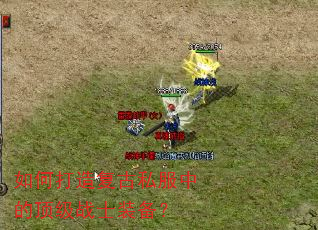 ��δ��츴��˽���еĶ���սʿװ����