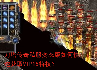 ��������˽����̬����ο��ٻ�ȡVIP15��Ȩ��