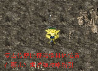���Ŵ������������λ�����Ķ�������ϸ����ָ����