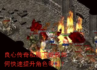 良心传奇私服下载后如何快速提升角色等级? 良心传奇私服下载后如何快速提升角色等级?