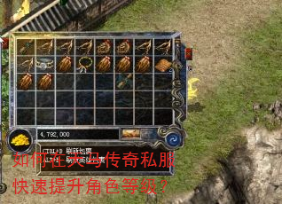 如何在天马传奇私服快速提升角色等级? 如何在天马传奇私服快速提升角色等级?