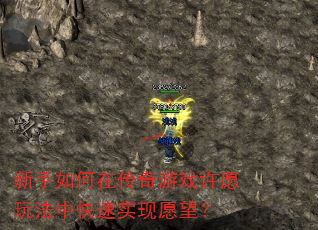��������ڴ�����Ϸ��Ը�淨�п���ʵ��Ը����