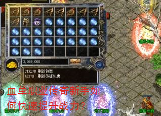 Ѫ��ְҵ����������ο�������ս����