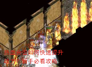热血合击如何快速提升战力?新手必看攻略 热血合击如何快速提升战力?新手必看攻略