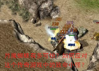 月魔蜘蛛有多可怕?如何应对这个传奇游戏中的致命小怪? 月魔蜘蛛有多可怕?如何应对这个传奇游戏中的致命小怪?