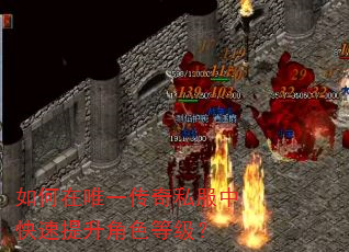 如何在唯一传奇私服中快速提升角色等级? 如何在唯一传奇私服中快速提升角色等级?