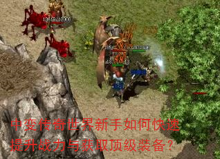 �б䴫������������ο�������ս�����ȡ����װ����