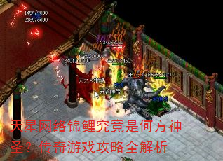 天星网络锦鲤究竟是何方神圣?传奇游戏攻略全解析 天星网络锦鲤究竟是何方神圣?传奇游戏攻略全解析