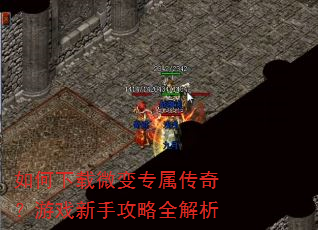 �������΢��ר�����棿��Ϸ���ֹ���ȫ����
